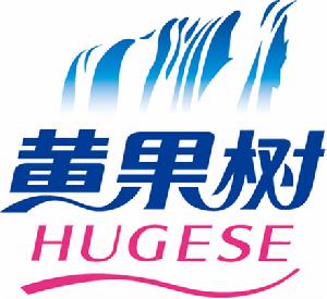 貴州黃果樹智慧旅游有限公司